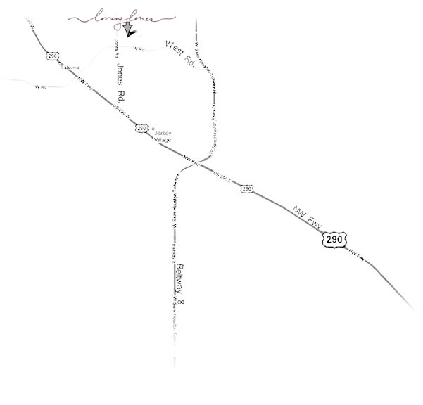 About Living Lines Dance Center